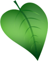 Green Products